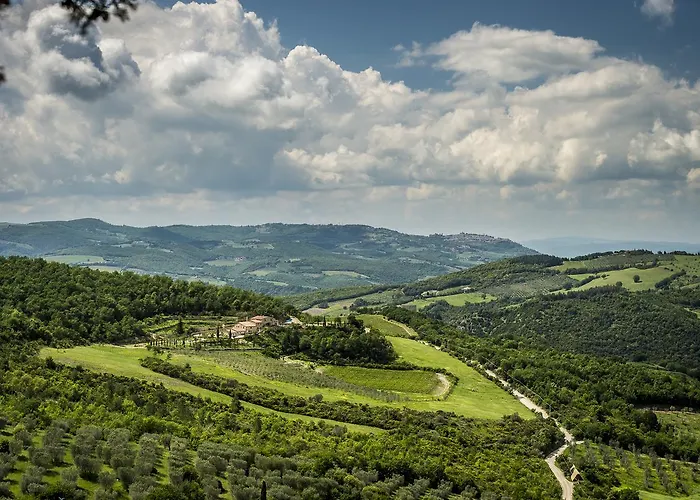 일 베키에타 * 카스틸리오니도르시아