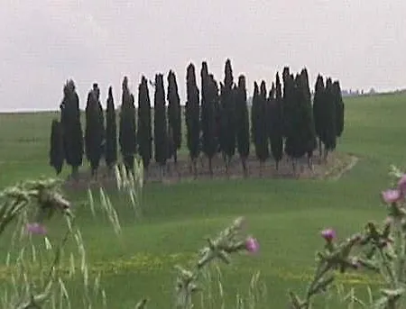Bed & Breakfast Il Vecchietta Castiglione dʼOrcia